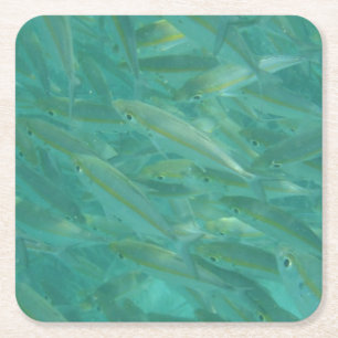 Posavasos Cuadrado De Papel Fotografía de pesca submarina