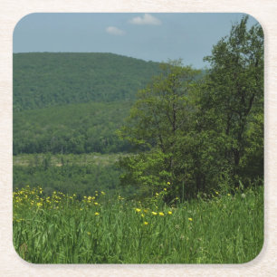 Posavasos Cuadrado De Papel Fotografía de verano de Laurel Highlands Pennsylva