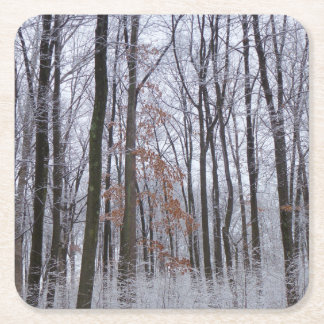 Posavasos Cuadrado De Papel Fotografía del paisaje invernal de la nieve desech
