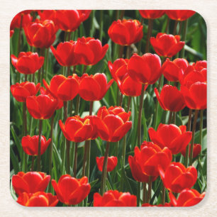 Posavasos Cuadrado De Papel Fotografía elegante de Tulipanes y Flores Florales