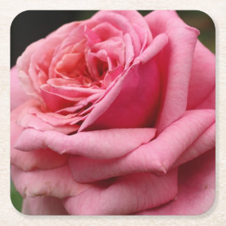 Posavasos Cuadrado De Papel Fotografía floral Rosa I Bonito