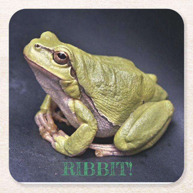 Posavasos Cuadrado De Papel Frog Coaster (Anverso)