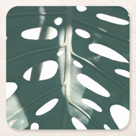 Posavasos Cuadrado De Papel Funky planta de queso suizo verde pálido