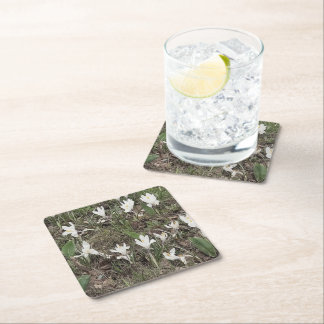 Posavasos Cuadrado De Papel Galanthus en hierba de primavera