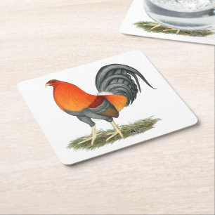 Posavasos Cuadrado De Papel Gallo del rojo azul del gallo de pelea