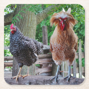 Posavasos Cuadrado De Papel Gallos de gallos y gallinas