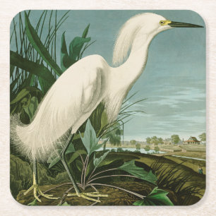 Posavasos Cuadrado De Papel Garza Blanca de Audubon Ave Birding