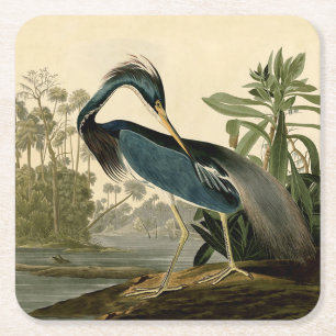 Posavasos Cuadrado De Papel Garzas de Louisiana de Audubon Pájaros América Art
