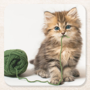 Posavasos Cuadrado De Papel Gatito con hilado verde