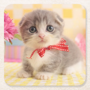 Posavasos Cuadrado De Papel Gatito de Munchkin