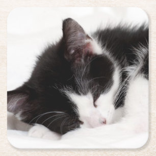 Posavasos Cuadrado De Papel Gatito el dormir