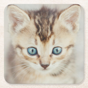 Posavasos Cuadrado De Papel Gatito observado azul