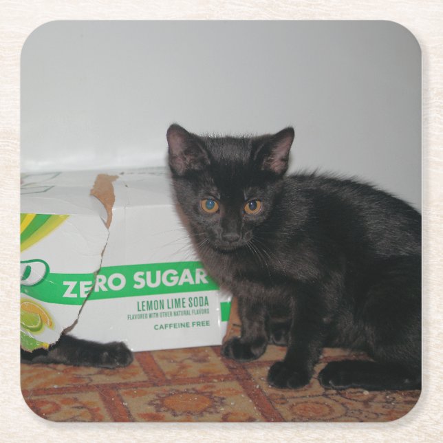 Posavasos Cuadrado De Papel Gatitos (Anverso)