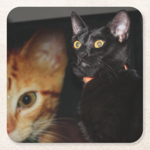 Posavasos Cuadrado De Papel Gato