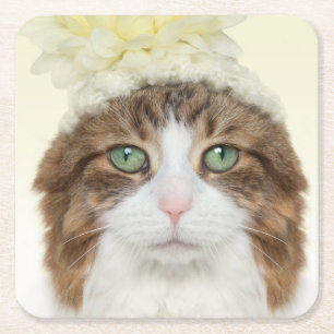 Posavasos Cuadrado De Papel Gato con el gorra de la flor