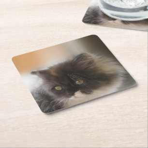 Posavasos Cuadrado De Papel Gato de corte