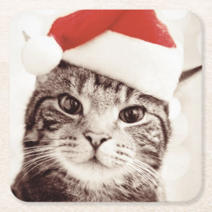 Posavasos Cuadrado De Papel Gato de tabby nacional que lleva el gorra rojo del