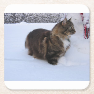 Posavasos Cuadrado De Papel gato del bosque noruego en la nieve