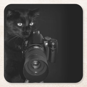 Posavasos Cuadrado De Papel Gato negro divertido con la cámara