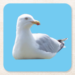 Posavasos Cuadrado De Papel Gaviota Argentea Tomando el SolEscena Arte de la N