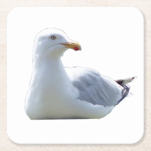 Posavasos Cuadrado De Papel Gaviota Ave Costera Vida Silvestre Océano Escena d