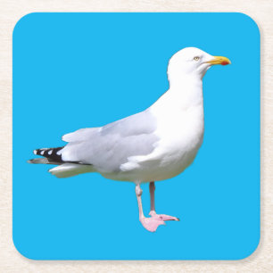 Posavasos Cuadrado De Papel Gaviota de pie con un fondo azul cielo minimalista