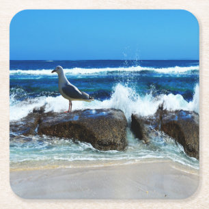 Posavasos Cuadrado De Papel Gaviota Sobre Rocas De Playa,