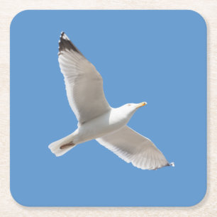 Posavasos Cuadrado De Papel Gaviota voladora
