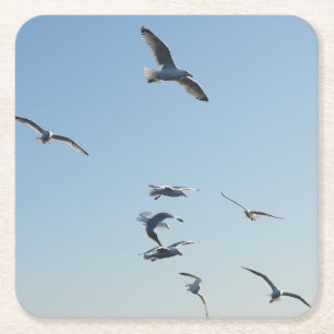 Posavasos Cuadrado De Papel Gaviotas volando sobre las olas del océano Ave cos