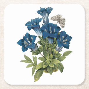 Posavasos Cuadrado De Papel gentian(Gentianae acaulis) de Redouté