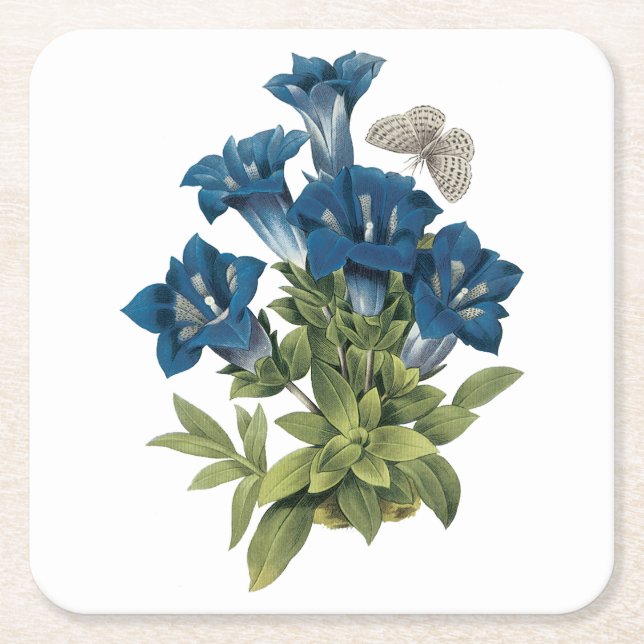 Posavasos Cuadrado De Papel gentian(Gentianae acaulis) de Redouté (Anverso)