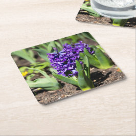 Posavasos Cuadrado De Papel Geocinth azul en primavera