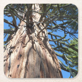 Posavasos Cuadrado De Papel Gigante de California