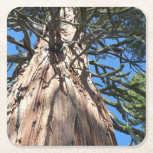 Posavasos Cuadrado De Papel Gigante de California