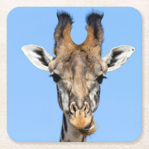 Posavasos Cuadrado De Papel Giraffe