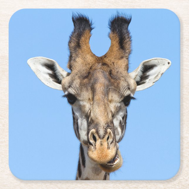 Posavasos Cuadrado De Papel Giraffe (Anverso)