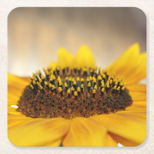 Posavasos Cuadrado De Papel Girasol