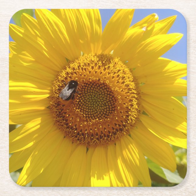 Posavasos Cuadrado De Papel Girasol amarillo (Anverso)