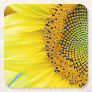 Posavasos Cuadrado De Papel Girasol brillante