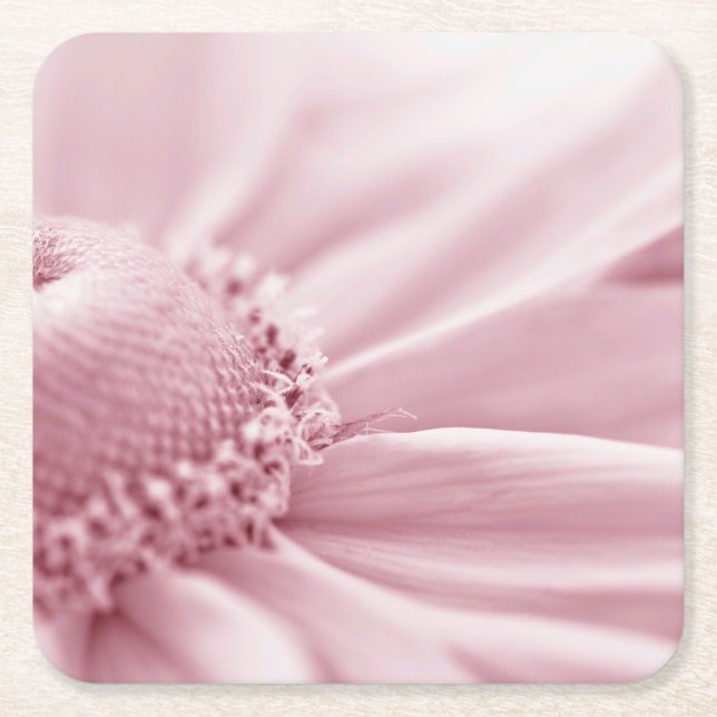 Posavasos Cuadrado De Papel Gloriosa Daisy Macro (Anverso)