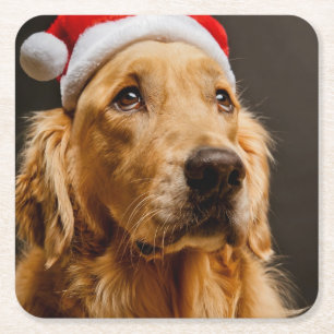 Posavasos Cuadrado De Papel Golden retriever que presenta para su navidad