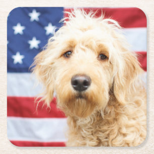 Posavasos Cuadrado De Papel Goldendoodle con bandera estadounidense