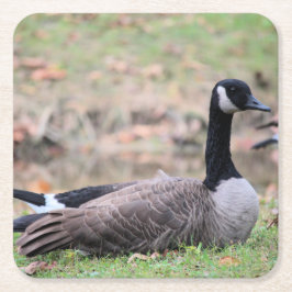 Posavasos Cuadrado De Papel Goose