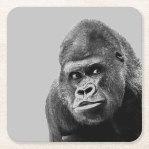 Posavasos Cuadrado De Papel Gorilla blanca negra