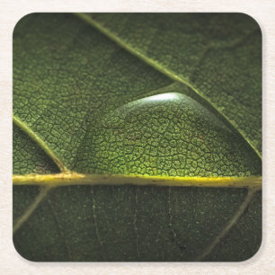 Posavasos Cuadrado De Papel Gotitas de la hoja