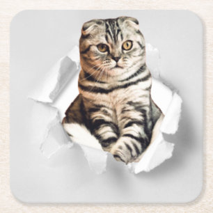 Posavasos Cuadrado De Papel Gracioso Gato Gris recorriendo la ilusión de papel