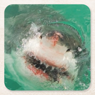 Posavasos Cuadrado De Papel Gran blanco Shark1
