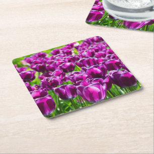 Posavasos Cuadrado De Papel Gran campo de tulipanes púrpura