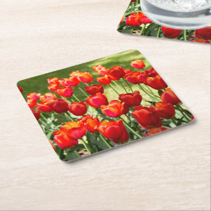 Posavasos Cuadrado De Papel Gran campo de tulipanes rojos