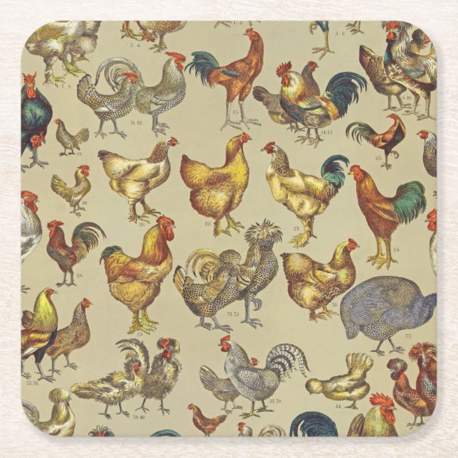 Posavasos Cuadrado De Papel Granja de pollo de gallo (Anverso)
